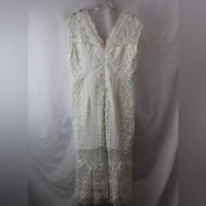 Debhop lace dress